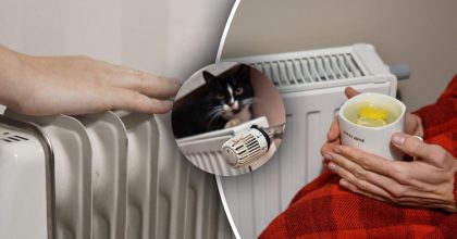 Действует мгновенно: как сэкономить на отоплении зимой и утеплить квартиру