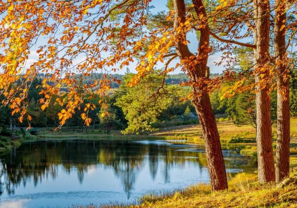 В Україну прийшло бабине літо: синоптики назвали найтепліші дні
