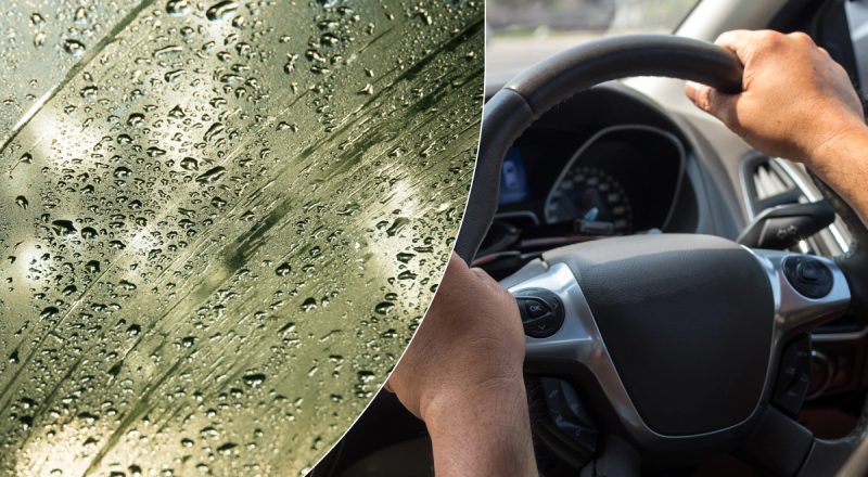 Знают не все водители: какую кнопку в авто не стоит нажимать во время дождя