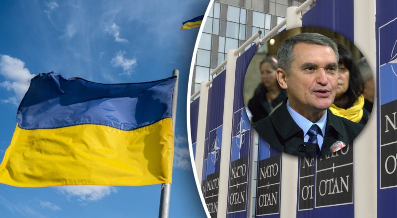 Шлях до НАТО з "втратою територій": дипломат розніс ідею і зробив заяву