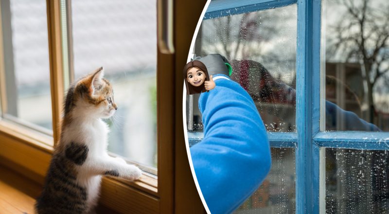 Чем помыть окна, чтобы они долго оставались чистыми - что добавить в воду