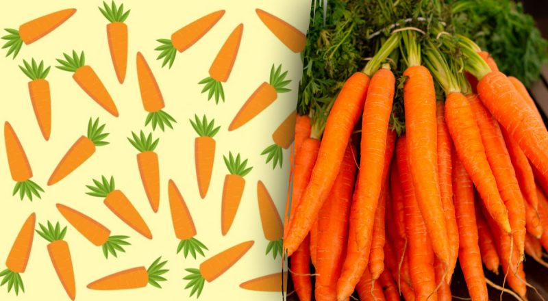 Тільки люди із "зором орла" знайдуть "дивну" морквину: загадка, що зажене у глухий кут