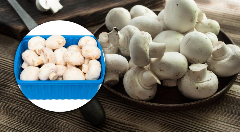 Нужно ли чистить шампиньоны перед приготовлением: хозяйки будут удивлены