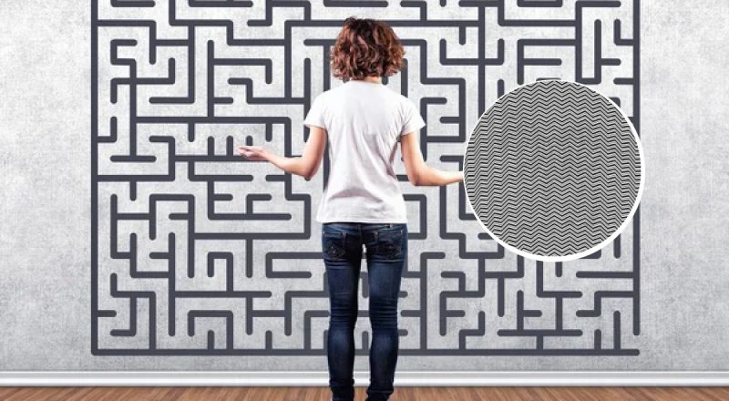 Оптическая иллюзия для настоящих детективов: только люди с орлиным зрением найдут зебру