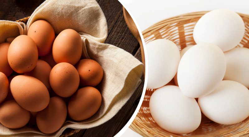 Где ни в коем случае нельзя хранить яйца: какую ошибку допускают многие люди