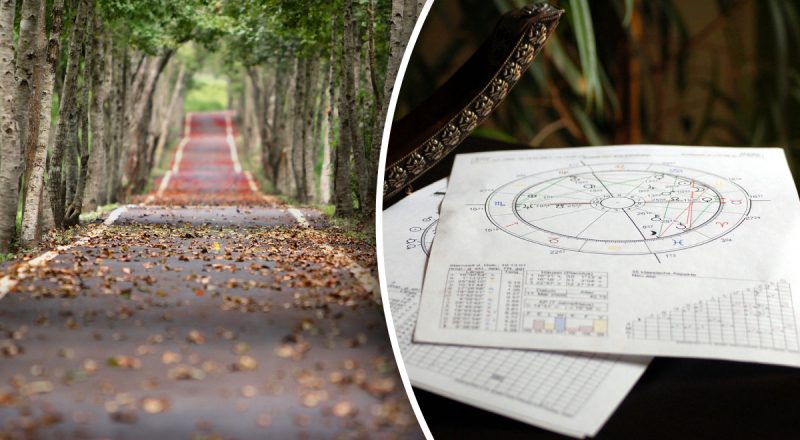 Гороскоп на неделю с 28 октября по 3 ноября: Льву - перемены, Рыбам - общение