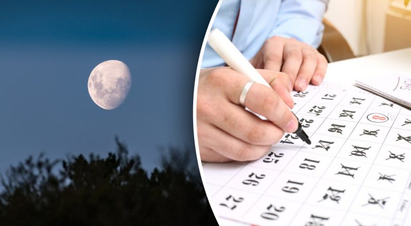 Какие дни октября принесут успех в огороде: лунный календарь октября 2025 года