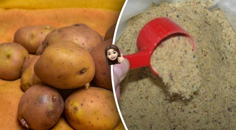 3 кг на 5 соток: найкраще добриво для картоплі, яке потрібно внести восени