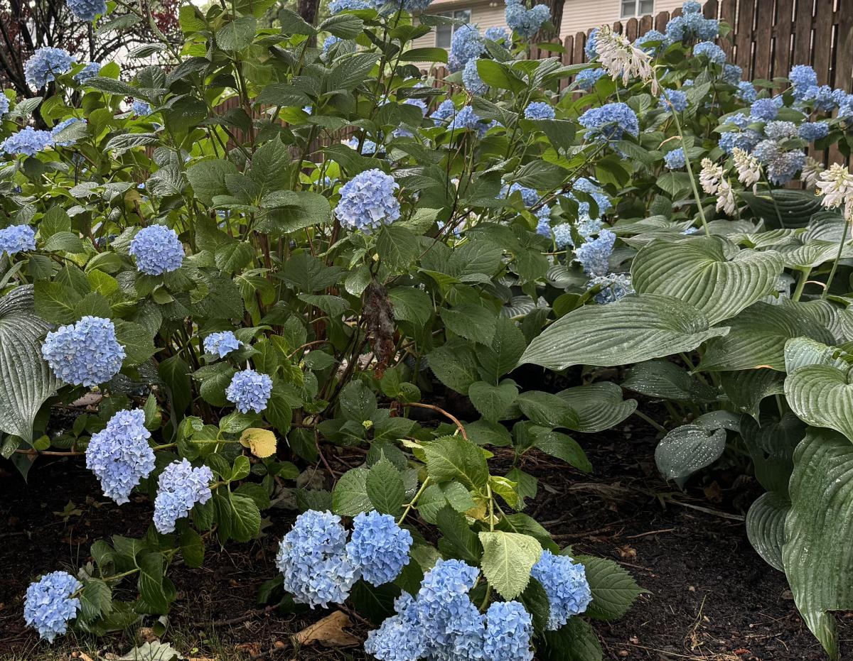 Загадка Загадка