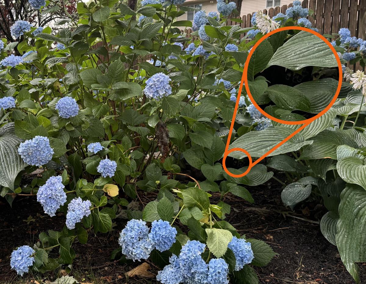 Загадка Загадка