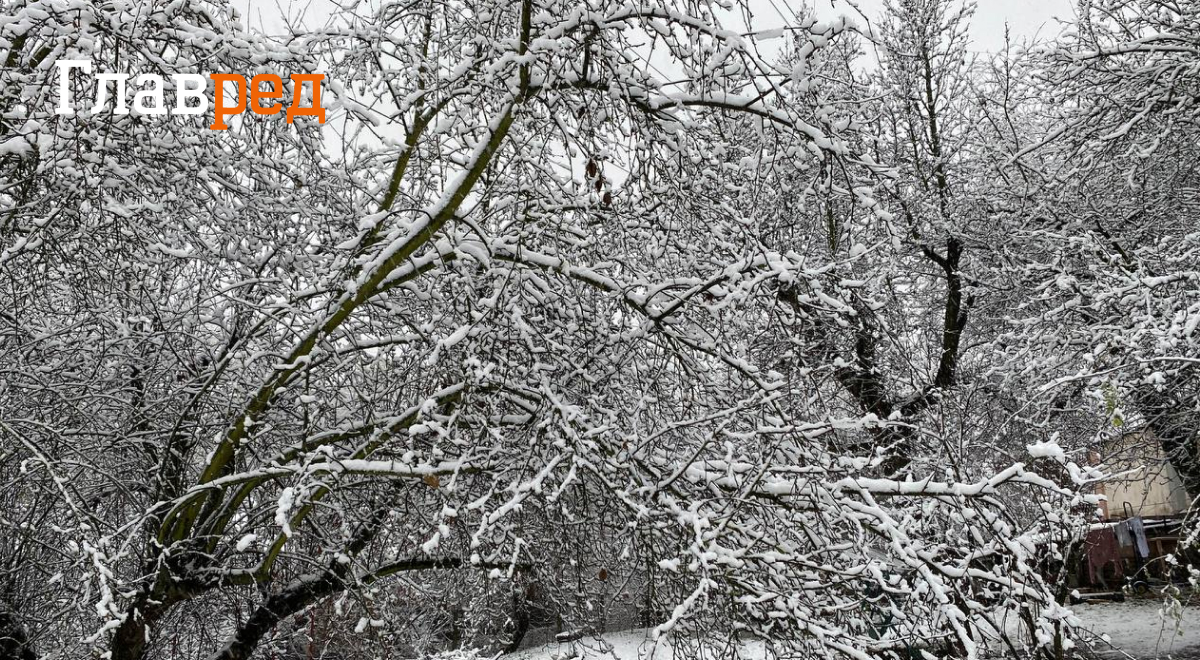 Київ засипало снігом: синоптики розповіли, чого чекати від погоди сьогодні