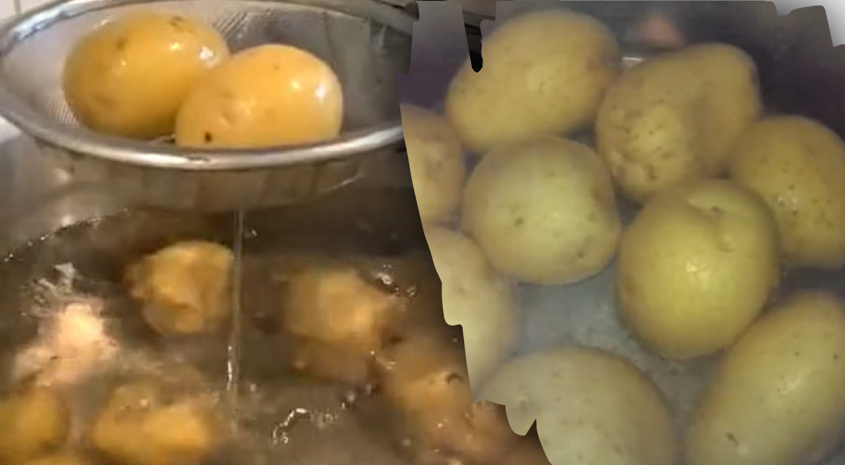 Можно ли курам варить картошку. Можно ли курам варить картошку