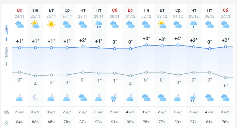 погода 25 ноября 