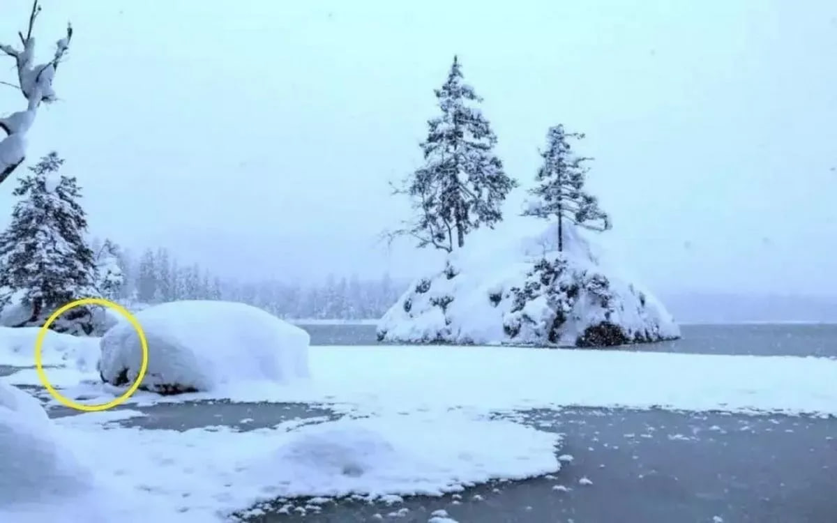 Головоломка Головоломка