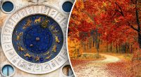 Фінансовий гороскоп на тиждень з 4 до 10 листопада