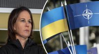 Позиция Германии четкая: Украина должна вступить в НАТО - Бербок