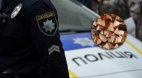 Кого з українців штрафуватимуть за зберігання дров вдома – пояснення нардепа
