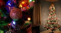 Звідки пішла традиція ставити ялинку на Новий рік: коли наряджати ялинку 2024