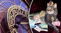 Финансовый гороскоп на 2025 год: кому Зеленая Змея принесет богатство