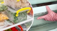 Гарантовано зіпсуються в морозилці: яким продуктам точно там не місце