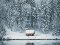 Скує 8-градусний мороз і буде штормовий вітер: коли в Україну прийде потепління