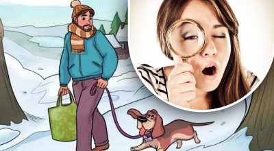 Что не так на картинке: нужно найти ошибку на рисунке всего за 5 секунд