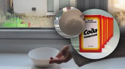 Експерти закликали поставити миску з содою на вікно в листопаді: в чому причина Експерти закликали поставити миску з содою на вікно в листопаді: в чому причина