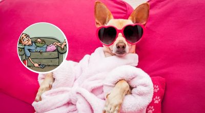 Мистецтво лінощів: як байдикування стає трендом та робить вас продуктивнішим