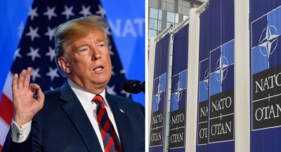 'Баба Яга проти': чому Трамп не бачить Україну в НАТО - яка альтернатива 'Баба Яга проти': чому Трамп не бачить Україну в НАТО - яка альтернатива