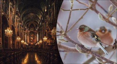 Яке сьогодні свято 22 листопада 2024 року: чому не можна ображатися і злословити