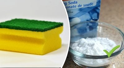 Губка, сода Губка, сода