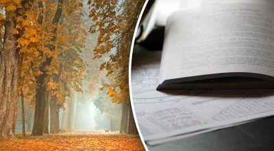 Гороскоп на неделю Гороскоп на неделю