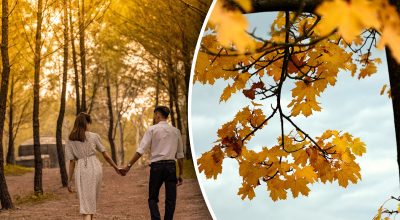 Любовный гороскоп на неделю