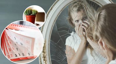 Зеркало, кактус, календарь Зеркало, кактус, календарь