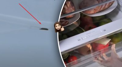 Як прочистити зливний отвір у холодильнику Як прочистити зливний отвір у холодильнику