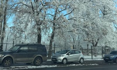 Погода, мороз, снег