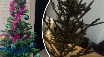 Искусственная елка из СССР Искусственная елка из СССР