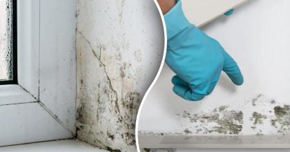 Цвіль зникне назавжди: один натуральний засіб творить дива без хімії