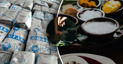 Чем отличается поваренная соль от каменной: какая самая полезная соль для блюд