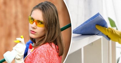 Пыль исчезает как по волшебству: один приём — и дом сияет неделями