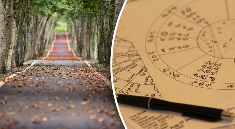 Гороскоп на неделю с 4 по 10 ноября: Тельцам - деньги, Весам - проблемы