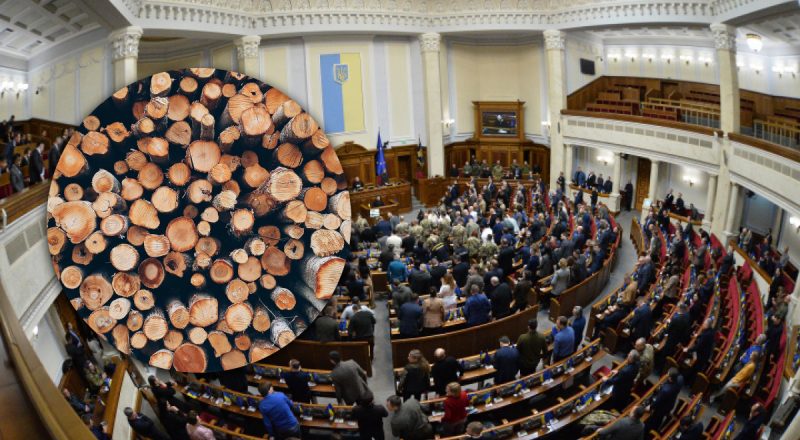 "Гучний" закон про дрова: нардеп сказав, до кого можуть прийти з перевірками