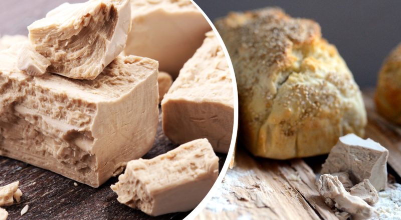 Хозяйкам на заметку: можно ли замораживать живые дрожжи