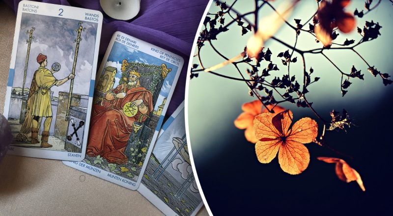 Гороскоп Таро на тиждень з 25 по 31 серпня: Діва - нагорода, Лев - турботи