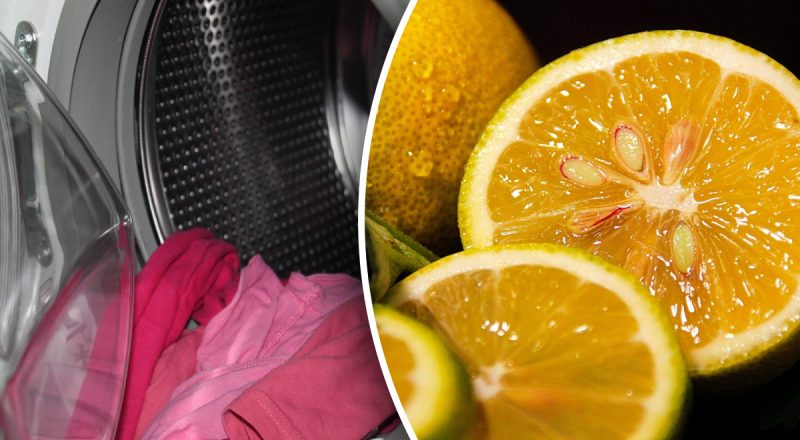 Как почистить барабан стиральной машины: лайфхак с лимоном "разорвал" TikTok