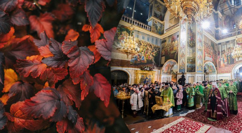 Какой сегодня праздник 12 ноября 2024: почему нельзя дарить цветы сегодня