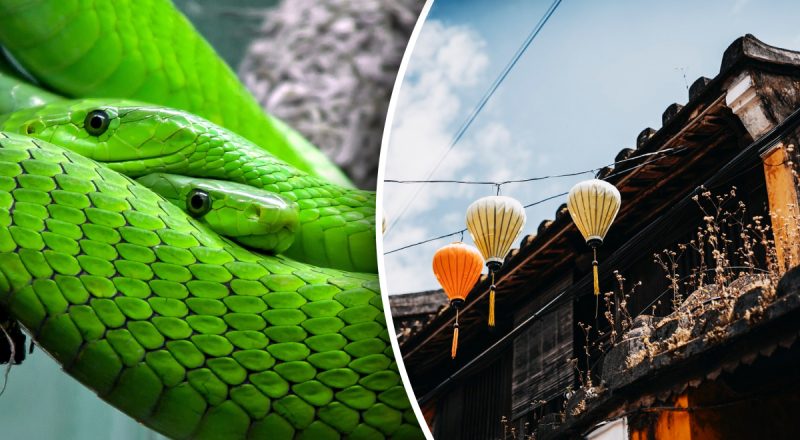 Китайский гороскоп на сегодня 26 июня: Тиграм - следить за деньгами, Крысам - мудрость