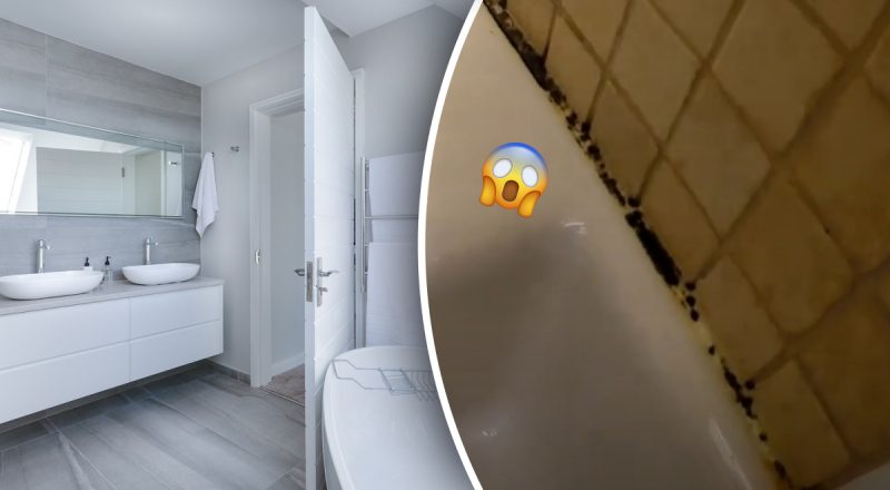 Пліснява у ванній зникне після одного простого засобу: навіть терти не доведеться