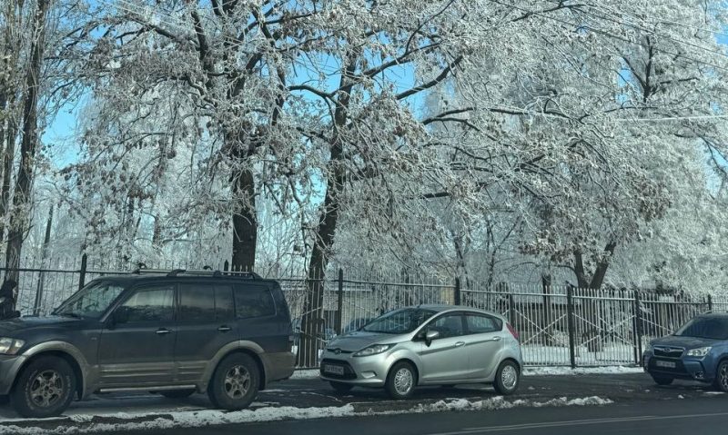 Вдарить мороз -11 градусів: у яких областях України сильно похолодає