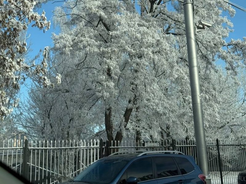 Мороз, снег и очень сильный туман: синоптики объявили штормовое предупреждение